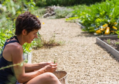 Ambiance - Au potager-8960