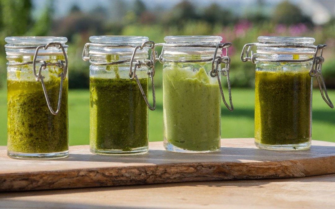 Pestos printaniers aux jeunes herbes