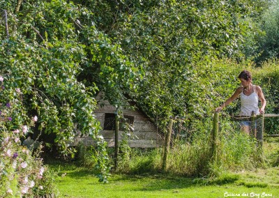 Ambiance - Poulaillier - Potager - 20140801 - 0257