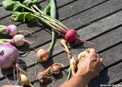 Cuisine des cinq sens - Potager - 20140801 - 8667