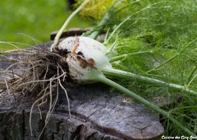 Cuisine des cinq sens - Potager - 20140801 - 8696