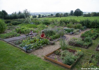 Cuisine des cinq sens - Potager - 20140801 - 8834