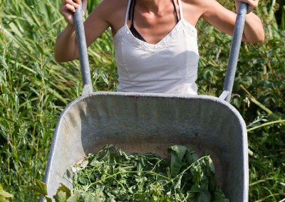 Cuisine des cinq sens - Potager - 20140801 - 9267