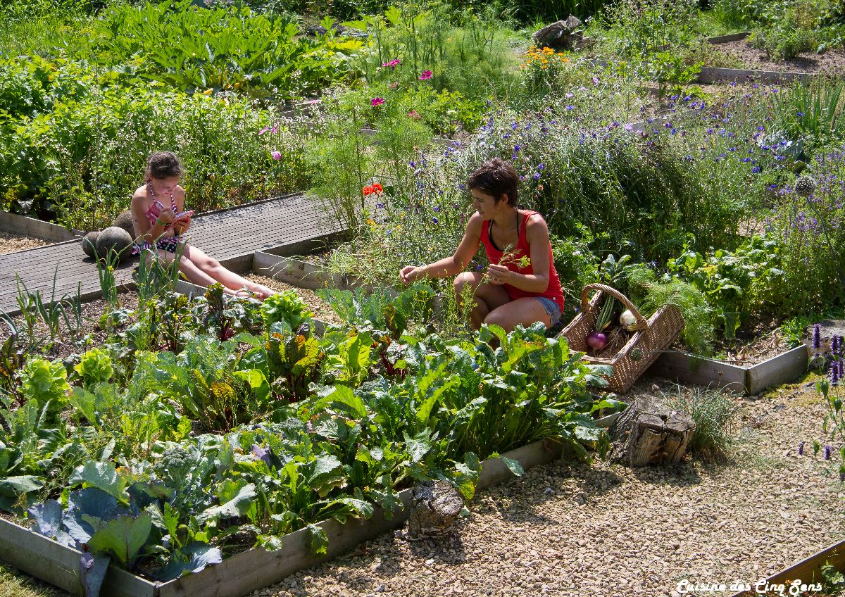 Formations en permaculture